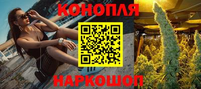 прущие грибы Абинск