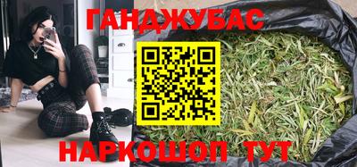 прущие грибы Абакан