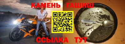 прущие грибы Абакан