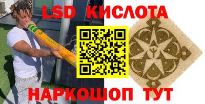 прущие грибы Абинск