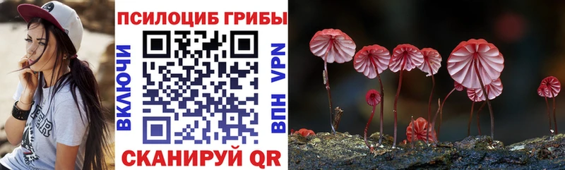 Псилоцибиновые грибы мухоморы  Алексин 